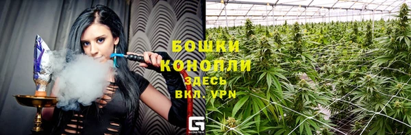 дмт Арсеньев