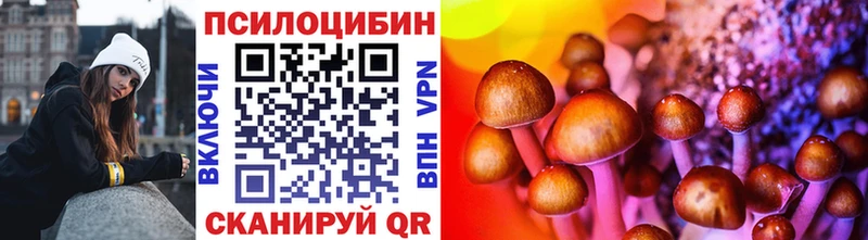 Галлюциногенные грибы Psilocybine cubensis  закладки  Спасск-Дальний 